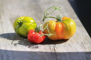 Grissini Pizzeria Tomaten